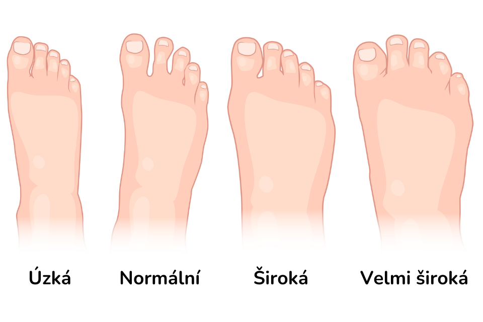 Typy chodidel - šířka chodidla